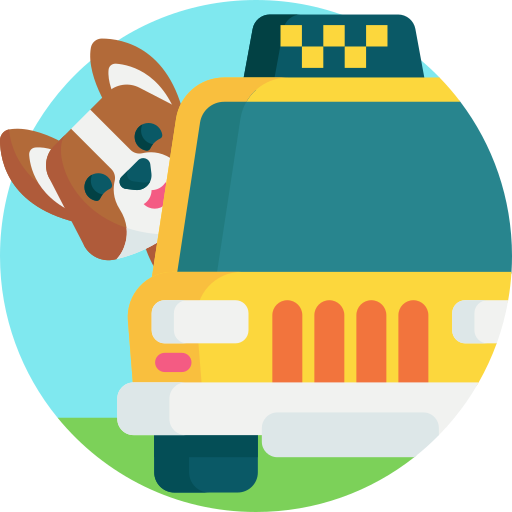 Pet Taxi